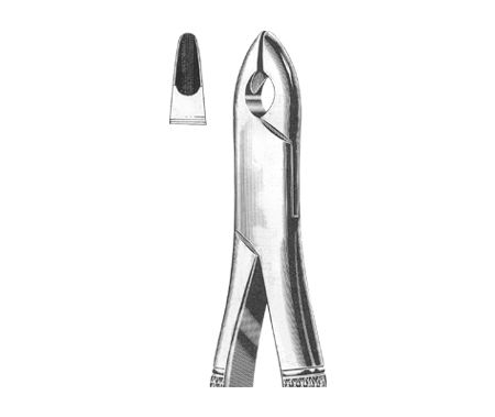 Extracting Forceps American Pattern