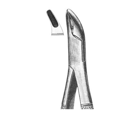 Extracting Forceps American Pattern