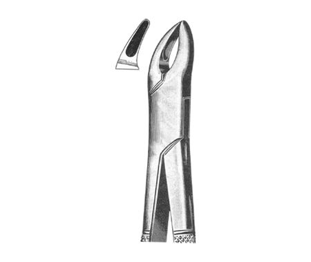 Extracting Forceps American Pattern