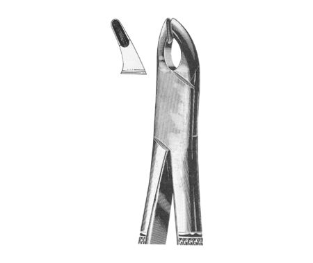 Extracting Forceps American Pattern