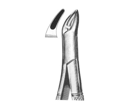 Extracting Forceps American Pattern