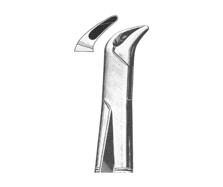 Extracting Forceps American Pattern