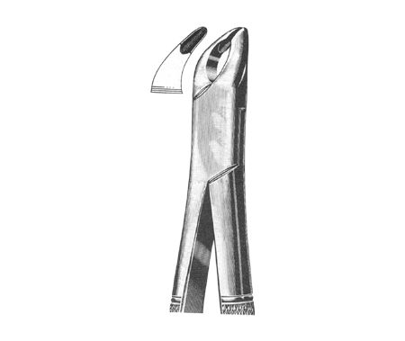 Extracting Forceps American Pattern