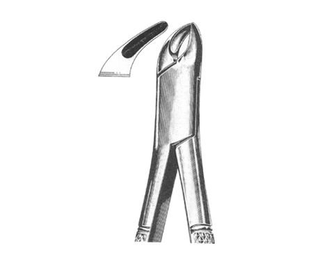 Extracting Forceps American Pattern