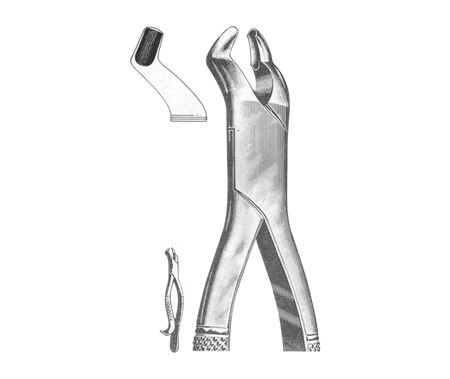Extracting Forceps American Pattern