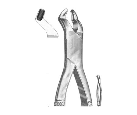 Extracting Forceps American Pattern