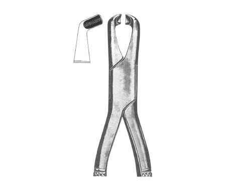 Extracting Forceps American Pattern