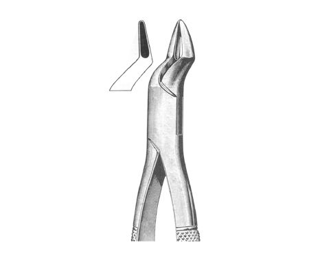 Extracting Forceps American Pattern