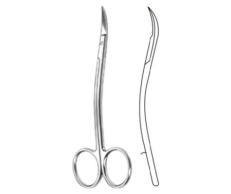 Surgical Scissors