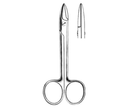 Surgical Scissors