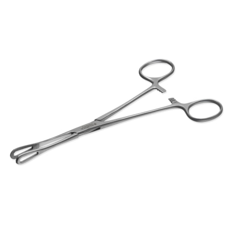Rampley Sponge Holding Forceps 18cm — Surgical Sialkot Pakistan Pintech