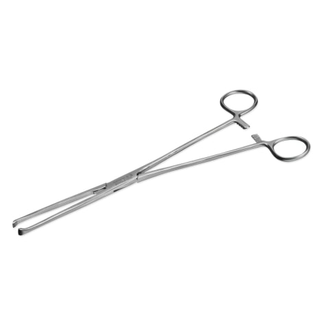 Allis Tissue Forceps 25cm — Surgical Sialkot Pakistan Pintech